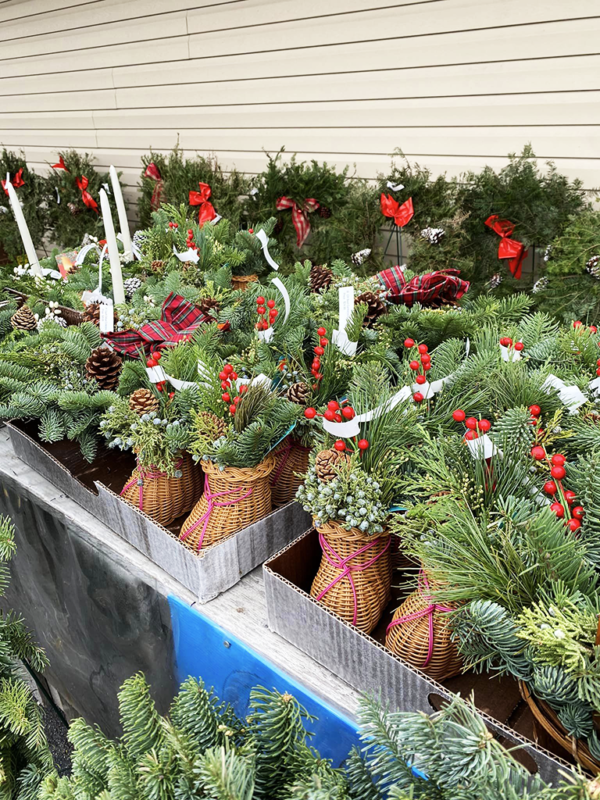 The Plant Stand Experience Godfrey Uncover Events, Attractions, and