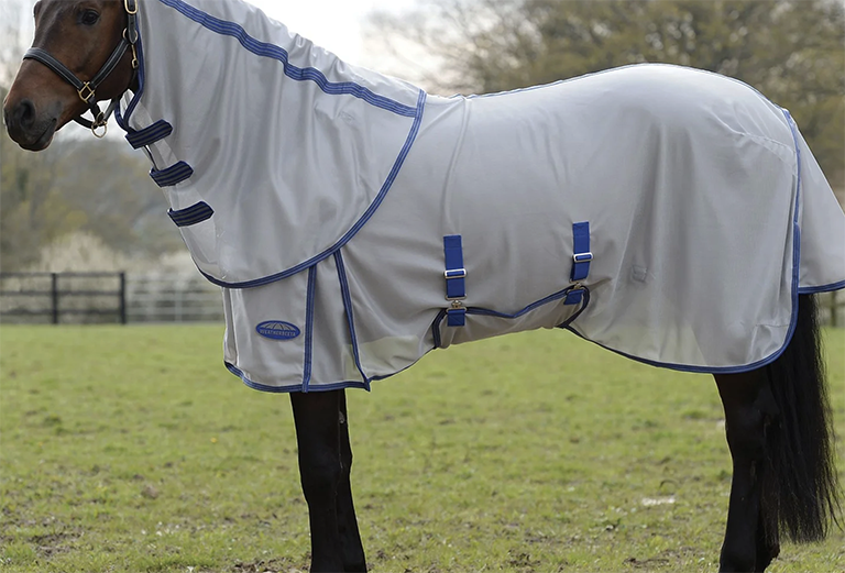 East Meets West Tack3