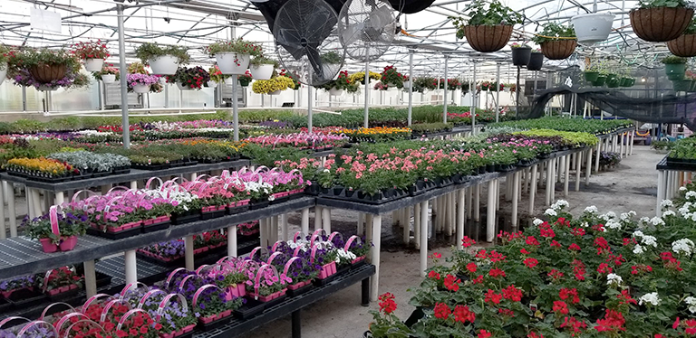HindlyNursery4
