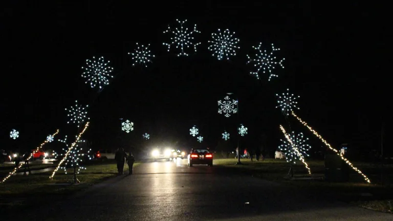 snowflake festival 768x432