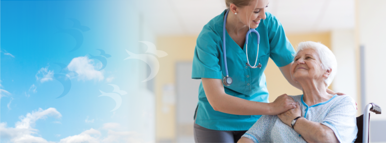 393619992 292610876963230 8232807507855295965 n 768x285