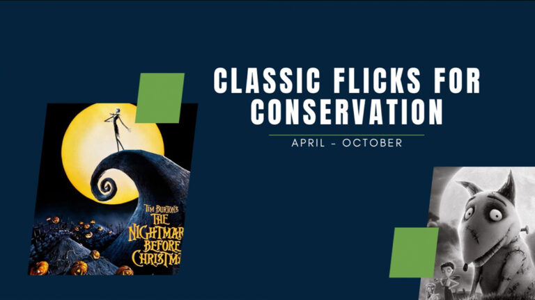 Classic Flicks for Conservation 768x432