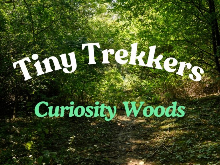 tiny trekkers curiosity 768x576