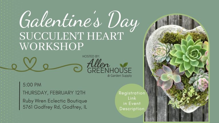 611166914 1717328302902486 8696757824864207191 n 768x432