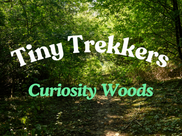 tiny trekkers 768x576