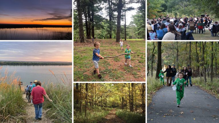 619816761 1301272098700126 6338757197447587910 n 768x433