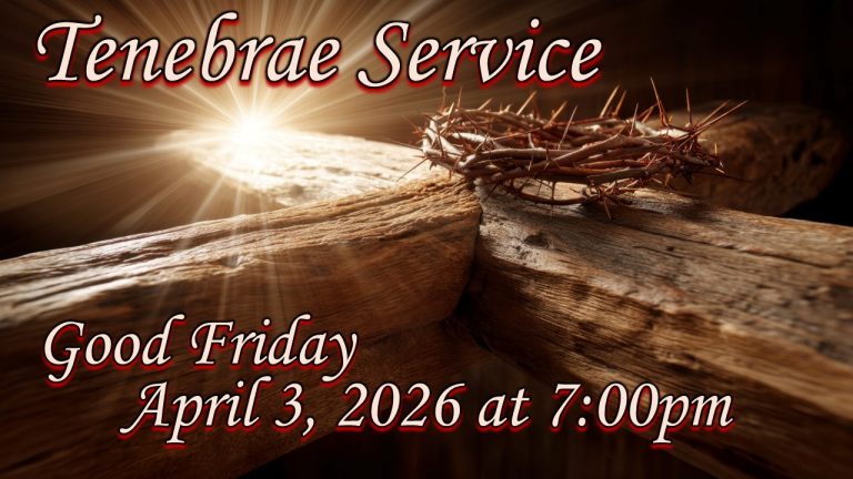 632720742 882607541078555 9008570874408196673 n 768x432