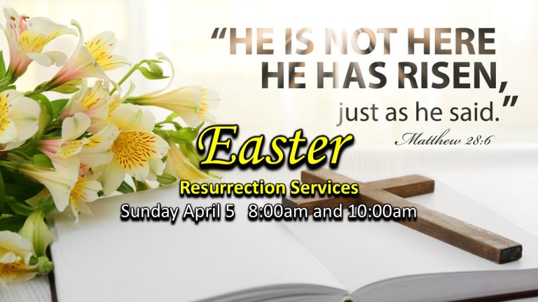 641481993 894240969915212 4388367714211212507 n 768x432