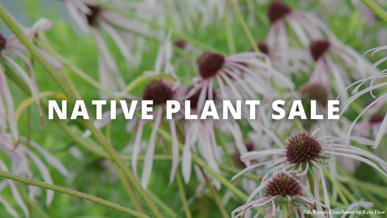 648594588 1355159869986727 5966987107789508812 n 768x432