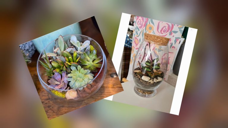 653706173 812520175225327 8481979053562129481 n 768x432