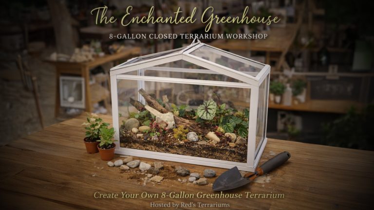 enchanted greehouse workshop 768x432