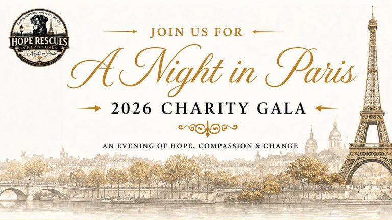 2026 Charity Gala 768x432