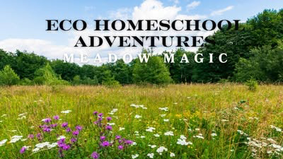 ECO Homeschool Adventures Meadow Magic