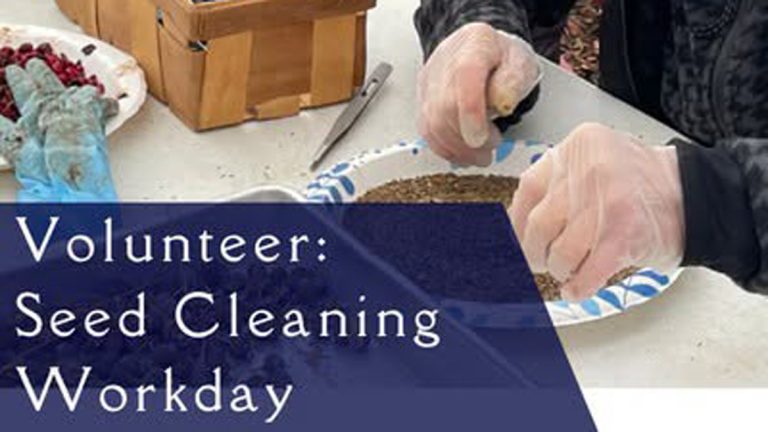 Native Seed Cleaning Workday 768x432